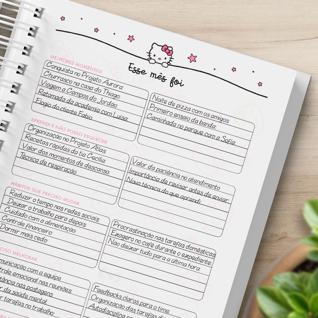 Planner Hello Kitty Exemplo de Esse mes Foi