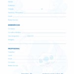 Dados Pessoais e Dados Profissionais Planner Stitch