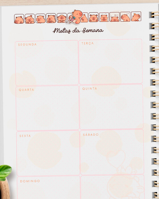 Planner Capivara Pagina de Checklist preenchida