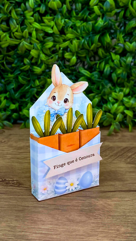 Caixinha Bis Coelho Menino