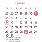 Calendário 2027 Rosa Maio