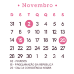 Calendário 2027 Rosa Novembro